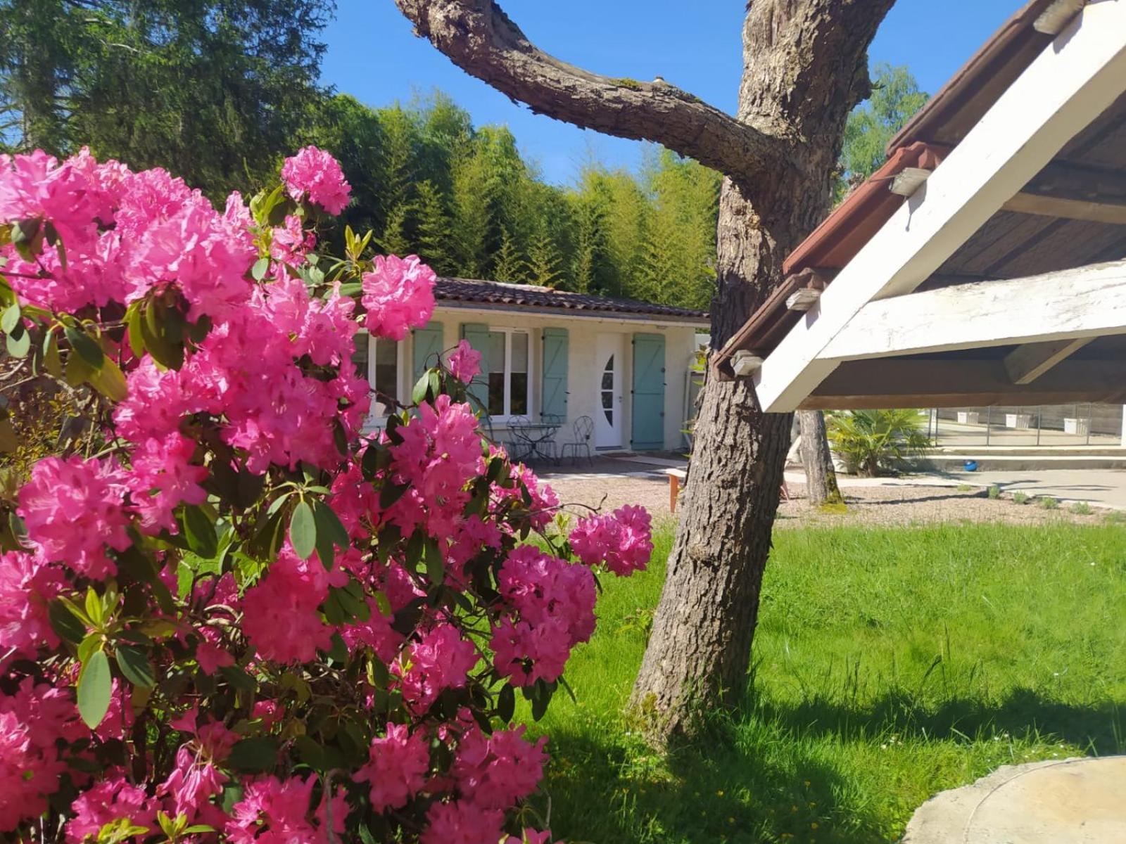 Le Clos Bussy Villa Bellerive-sur-Allier Buitenkant foto